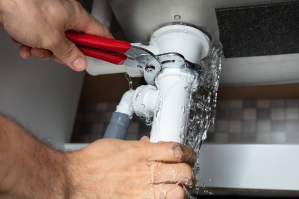 Best Professional water damage repair  in Silver Summit, UT