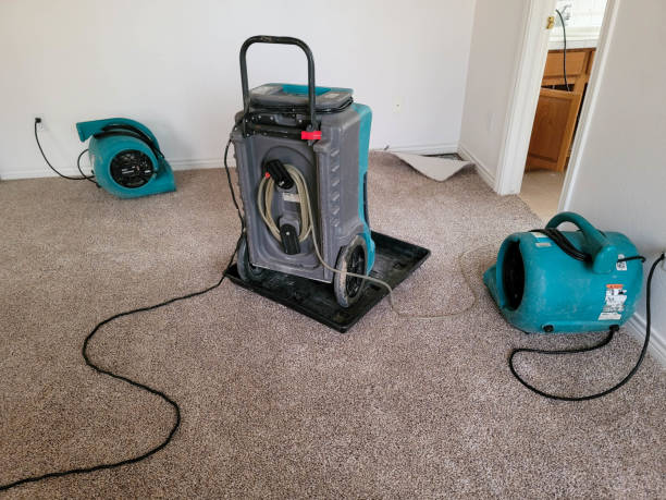 Best Water damage cleanup near me  in Silver Summit, UT