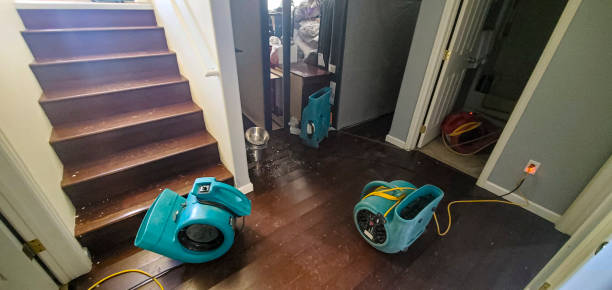 Best 24-hour water damage restoration  in Silver Summit, UT