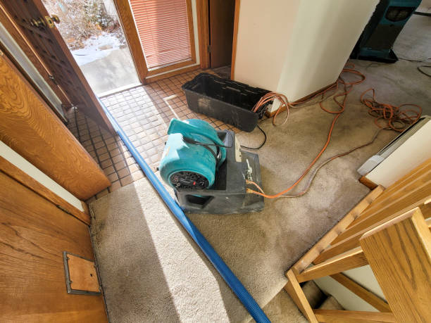 Water damage restoration insurance claims in Silver Summit, UT