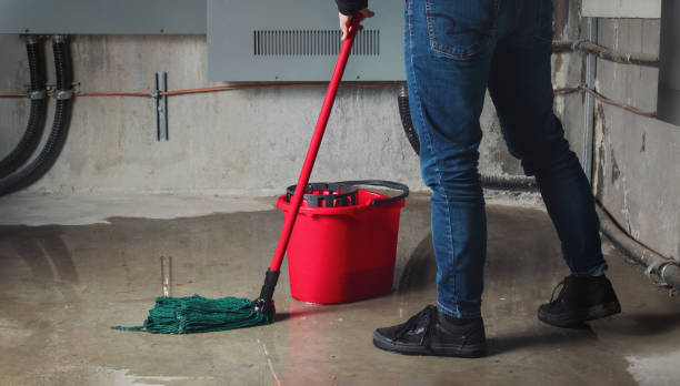 Best Sewage cleanup and water damage restoration  in Silver Summit, UT