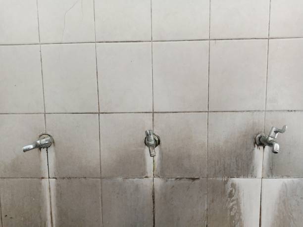 Best Flood damage cleanup  in Silver Summit, UT