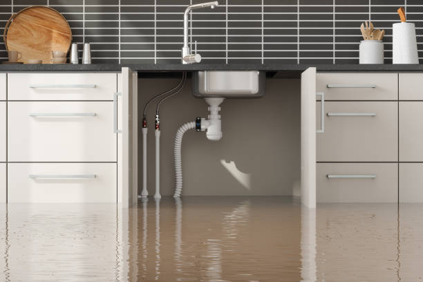 Best Local water damage restoration  in Silver Summit, UT