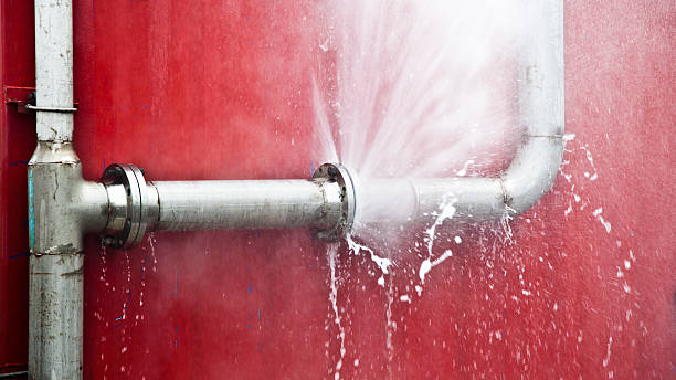 Best Flood damage cleanup  in Silver Summit, UT