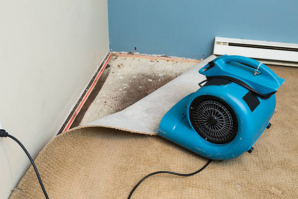 Best Carpet water damage restoration  in Silver Summit, UT